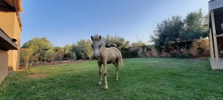 Ferme Adam Agafay Marrakech Villa Marrakesh