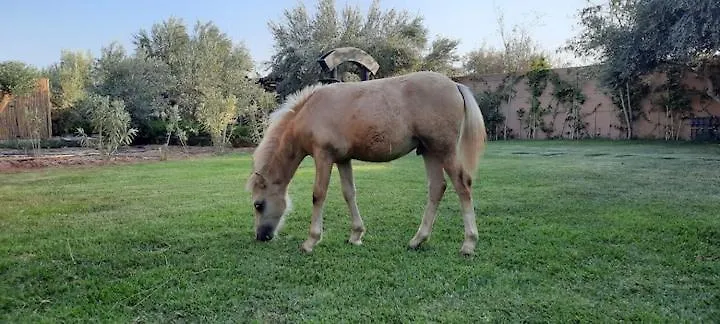 Ferme Adam Agafay Marrakech Villa Marrakesh Morocco